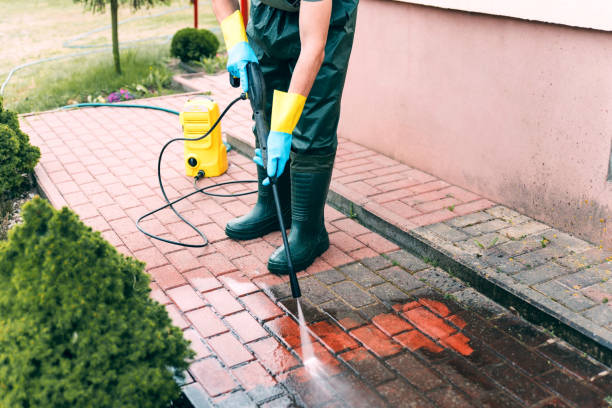 Best Driveway Pressure Washing  in Coconut Creek, FL